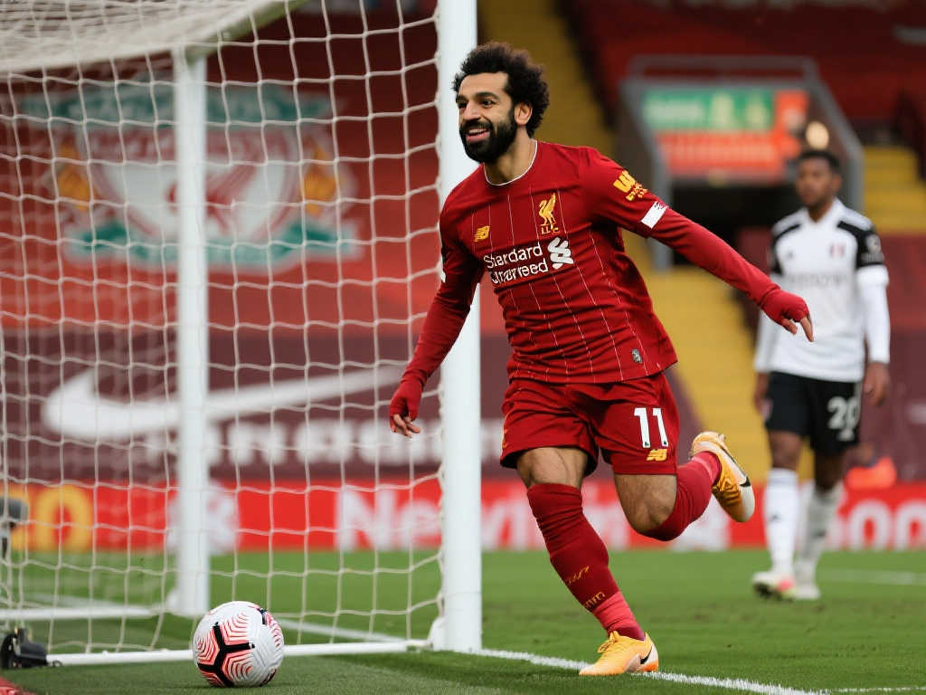 籍还是迎接 籍还是迎接