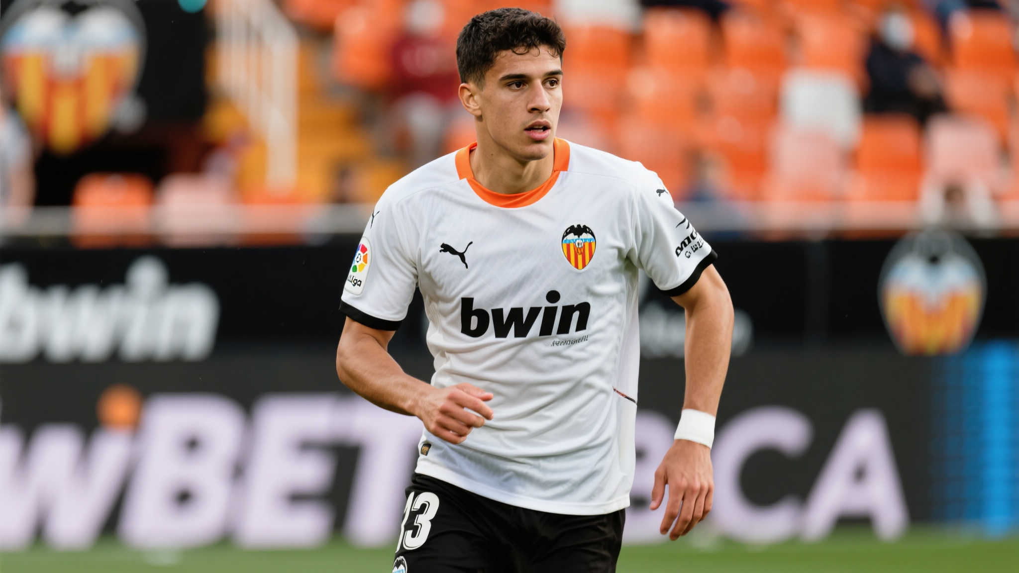 也有自身的 也有自身的