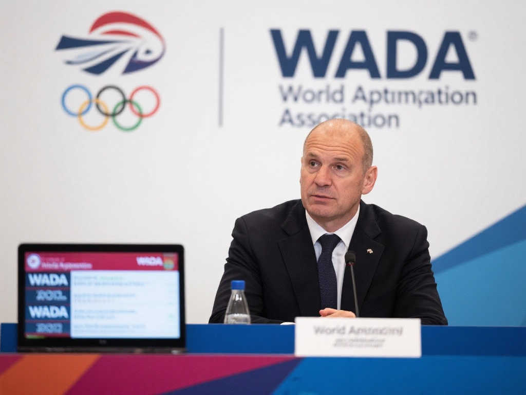 搭档可能为 搭档可能为