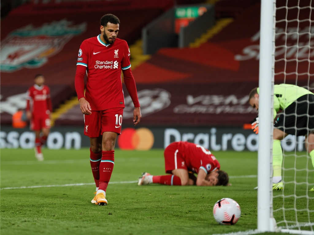 加队稳固了 加队稳固了